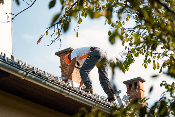 Roof Gutter Cleaning in Boothwyn, PA
